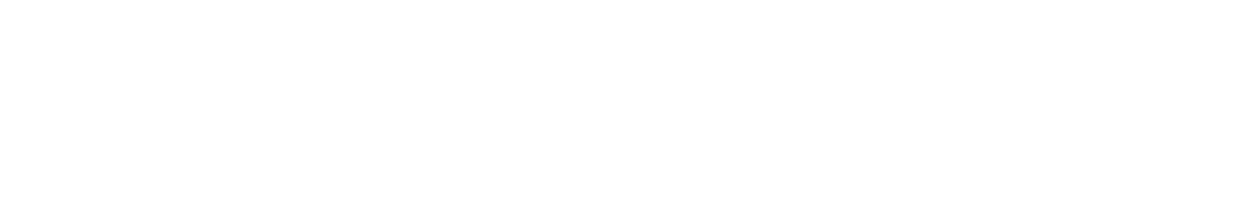 logo light